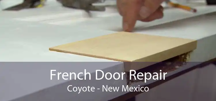 French Door Repair Coyote - New Mexico