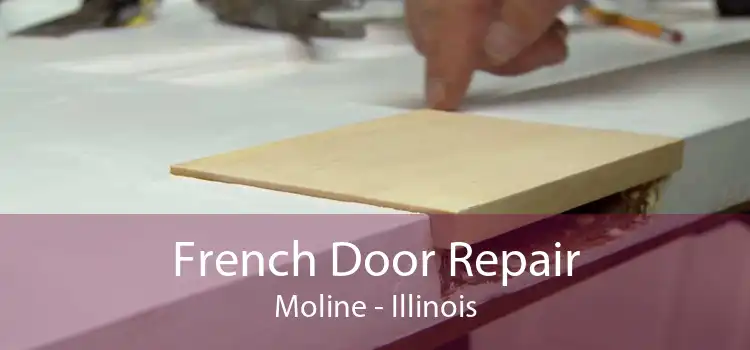 French Door Repair Moline - Illinois
