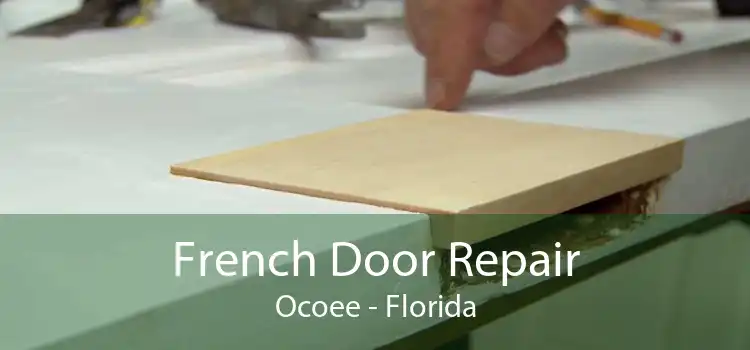 French Door Repair Ocoee - Florida