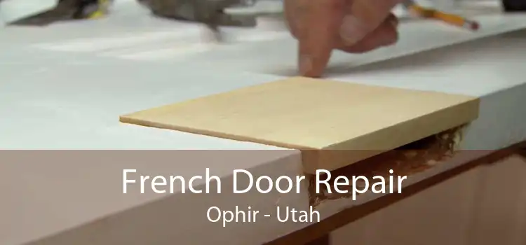 French Door Repair Ophir - Utah