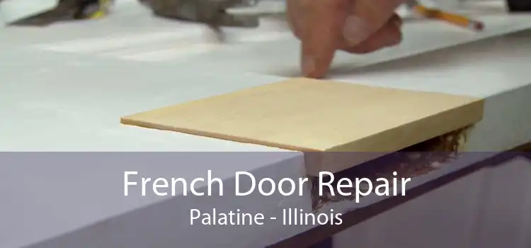 French Door Repair Palatine - Illinois