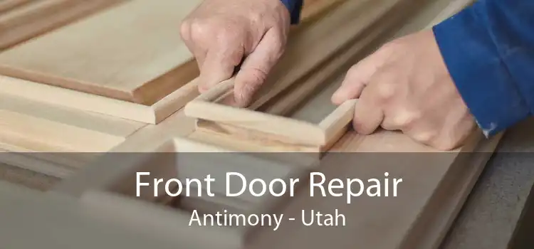 Front Door Repair Antimony - Utah