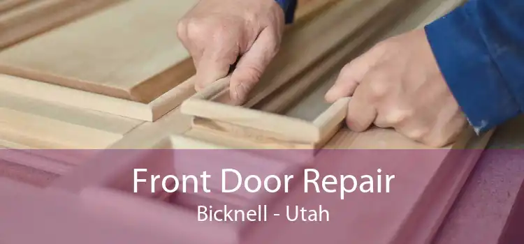Front Door Repair Bicknell - Utah