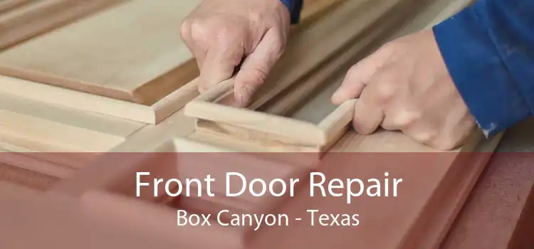 Front Door Repair Box Canyon - Texas