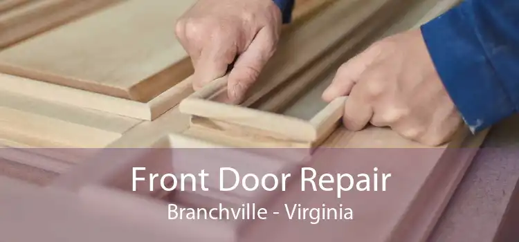 Front Door Repair Branchville - Virginia