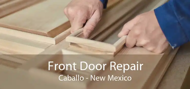 Front Door Repair Caballo - New Mexico