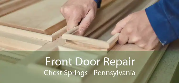 Front Door Repair Chest Springs - Pennsylvania