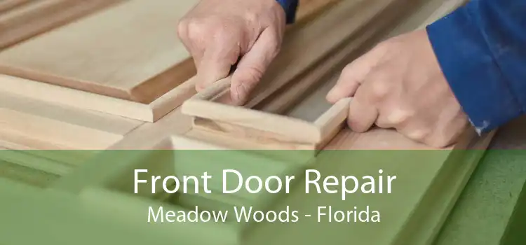 Front Door Repair Meadow Woods - Florida