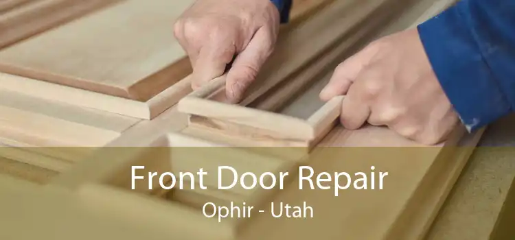 Front Door Repair Ophir - Utah