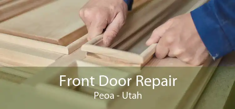 Front Door Repair Peoa - Utah