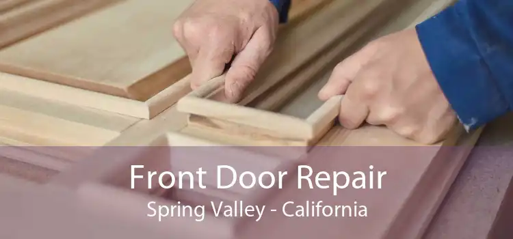 Front Door Repair Spring Valley - California