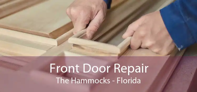 Front Door Repair The Hammocks - Florida