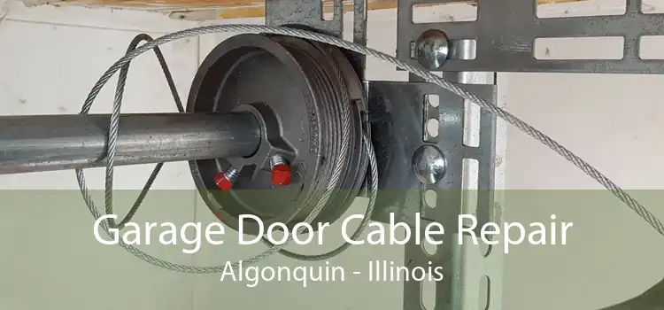 Garage Door Cable Repair Algonquin - Illinois