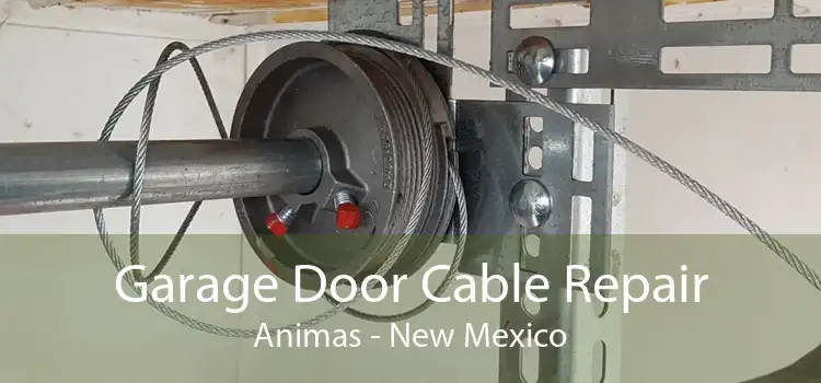 Garage Door Cable Repair Animas - New Mexico