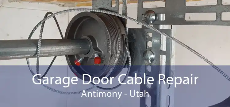 Garage Door Cable Repair Antimony - Utah