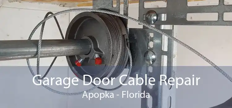 Garage Door Cable Repair Apopka - Florida