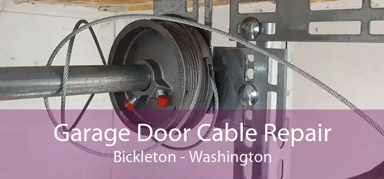 Garage Door Cable Repair Bickleton - Washington
