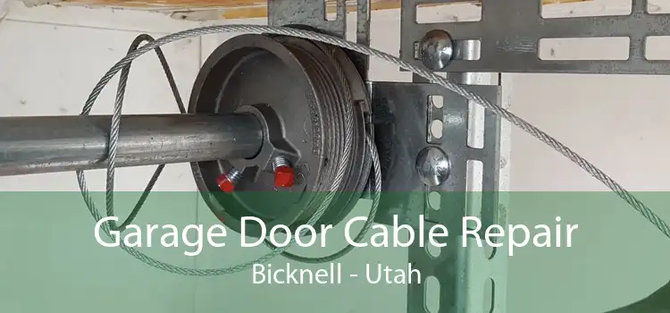 Garage Door Cable Repair Bicknell - Utah