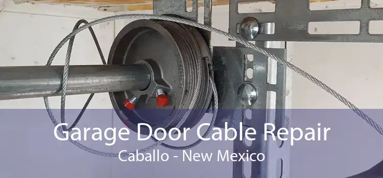 Garage Door Cable Repair Caballo - New Mexico