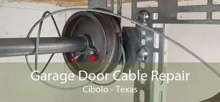 Garage Door Cable Repair Cibolo - Texas
