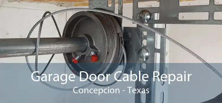 Garage Door Cable Repair Concepcion - Texas