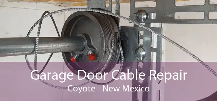 Garage Door Cable Repair Coyote - New Mexico