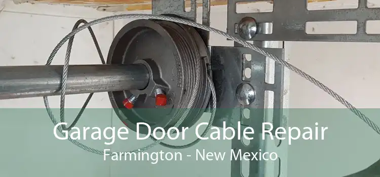 Garage Door Cable Repair Farmington - New Mexico