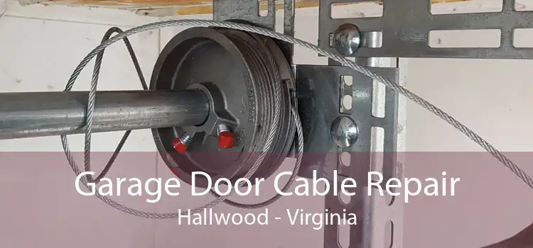Garage Door Cable Repair Hallwood - Virginia