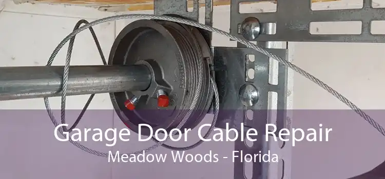 Garage Door Cable Repair Meadow Woods - Florida