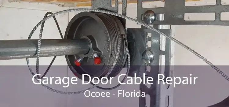 Garage Door Cable Repair Ocoee - Florida