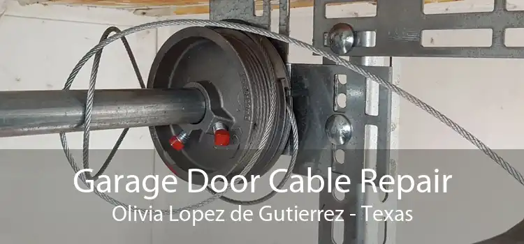Garage Door Cable Repair Olivia Lopez de Gutierrez - Texas