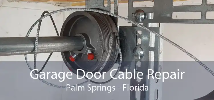 Garage Door Cable Repair Palm Springs - Florida