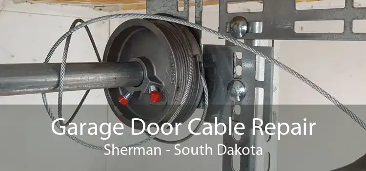 Garage Door Cable Repair Sherman - South Dakota