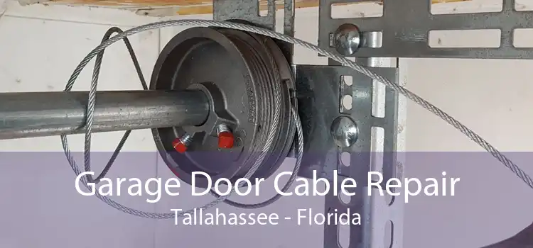 Garage Door Cable Repair Tallahassee - Florida