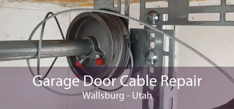 Garage Door Cable Repair Wallsburg - Utah