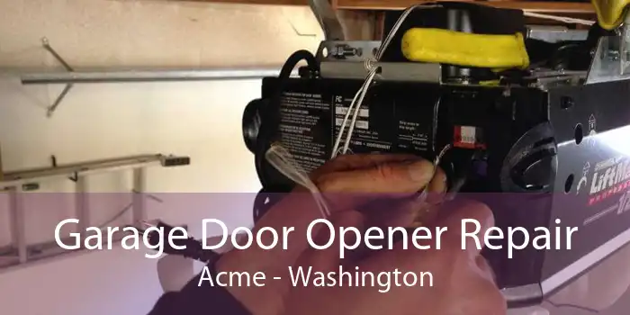 Garage Door Opener Repair Acme - Washington