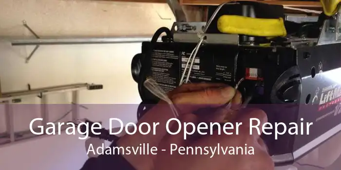 Garage Door Opener Repair Adamsville - Pennsylvania