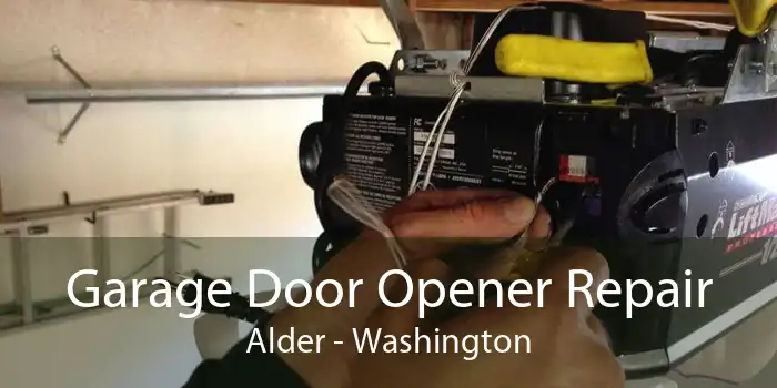 Garage Door Opener Repair Alder - Washington