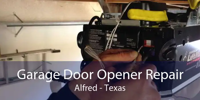 Garage Door Opener Repair Alfred - Texas
