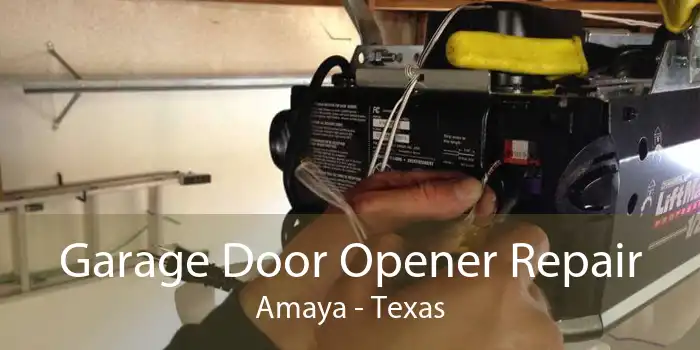 Garage Door Opener Repair Amaya - Texas