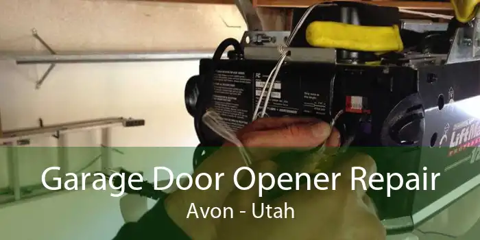 Garage Door Opener Repair Avon - Utah