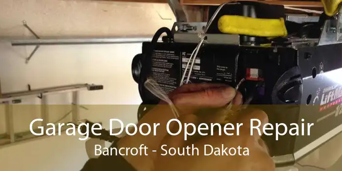 Garage Door Opener Repair Bancroft - South Dakota