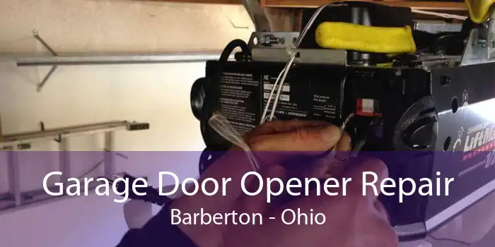 Garage Door Opener Repair Barberton - Ohio