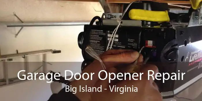 Garage Door Opener Repair Big Island - Virginia