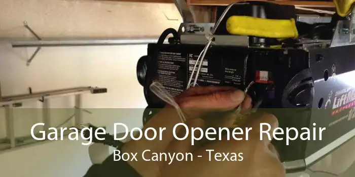 Garage Door Opener Repair Box Canyon - Texas