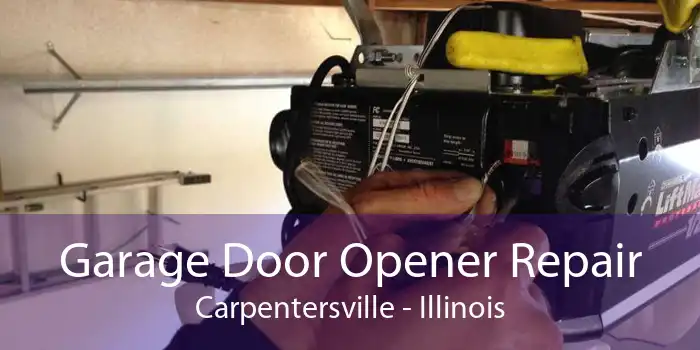 Garage Door Opener Repair Carpentersville - Illinois