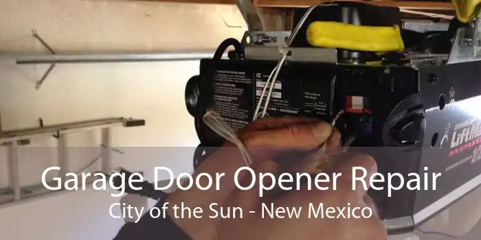 Garage Door Opener Repair City of the Sun - New Mexico