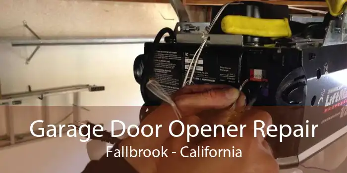 Garage Door Opener Repair Fallbrook - California