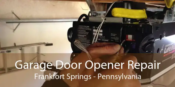 Garage Door Opener Repair Frankfort Springs - Pennsylvania