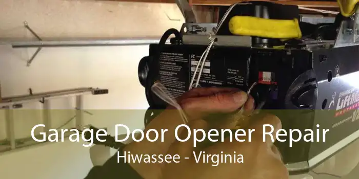 Garage Door Opener Repair Hiwassee - Virginia